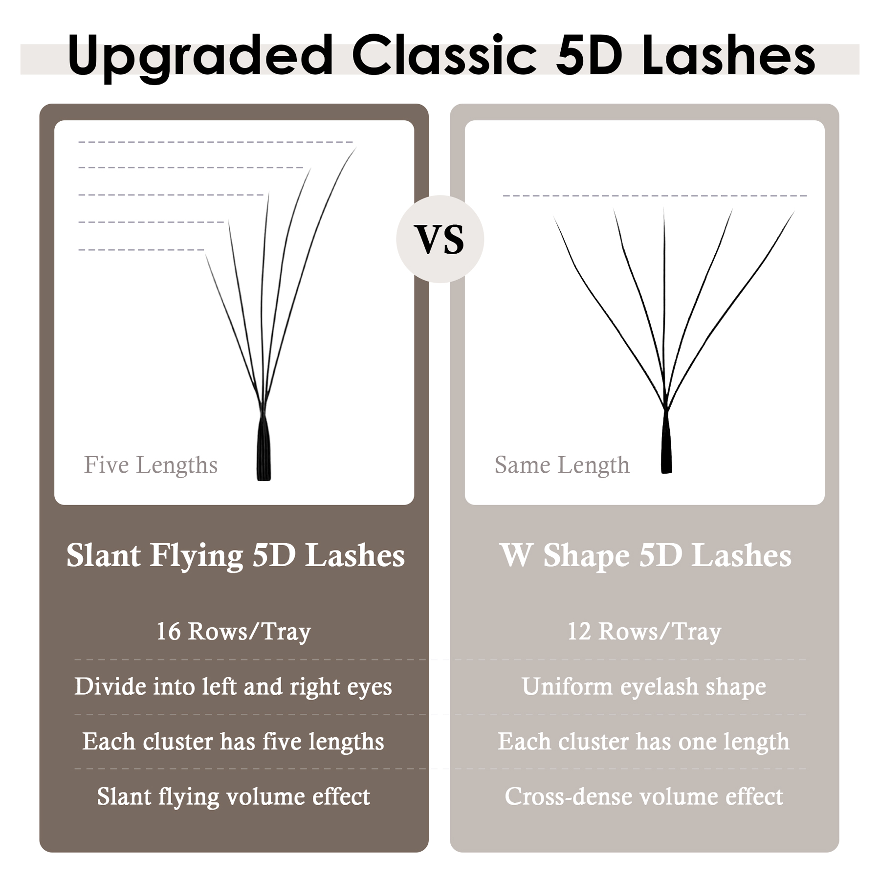 Pestañas Postizas SEEDEW Fox 5 - Eyelash Extension Logo reseña y precio